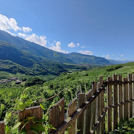 Villa Bio Agritur Al Bait Spormaggiore Esterno foto
